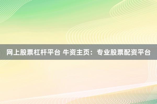 网上股票杠杆平台 牛资主页：专业股票配资平台