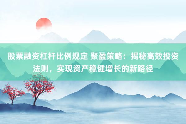股票融资杠杆比例规定 聚盈策略：揭秘高效投资法则，实现资产稳健增长的新路径