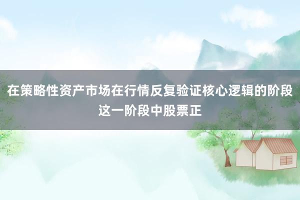 在策略性资产市场在行情反复验证核心逻辑的阶段这一阶段中股票正
