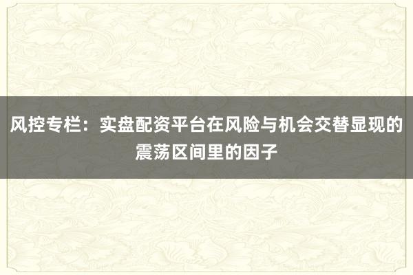 风控专栏：实盘配资平台在风险与机会交替显现的震荡区间里的因子
