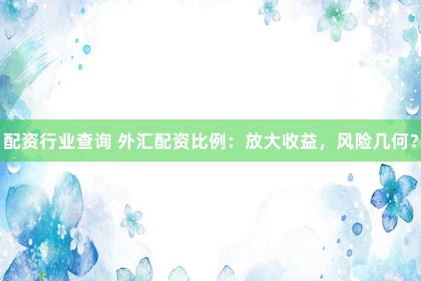 配资行业查询 外汇配资比例：放大收益，风险几何？